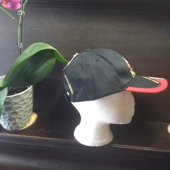 Norway baseball cap NWT 🎈HOST PICK🎈 - Picture 4 of 7